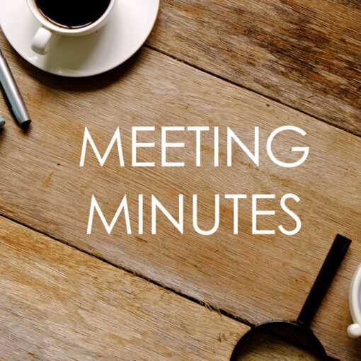 Meeting Minutes